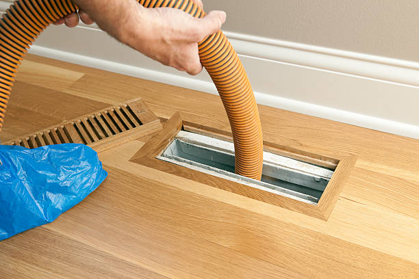 Best Air Vent Cleaning Services  in Mount Vernon, VA